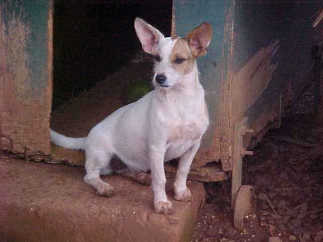 My Image