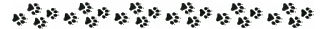 My Image
